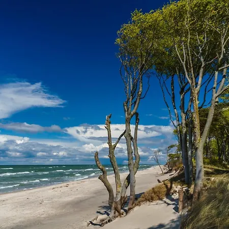 Birkenstrasse 6i Whg 16 * Zingst